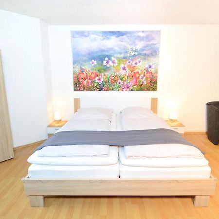 Apartment Strasbourg - Europapark / Wallaston Ofemburgo Exterior foto
